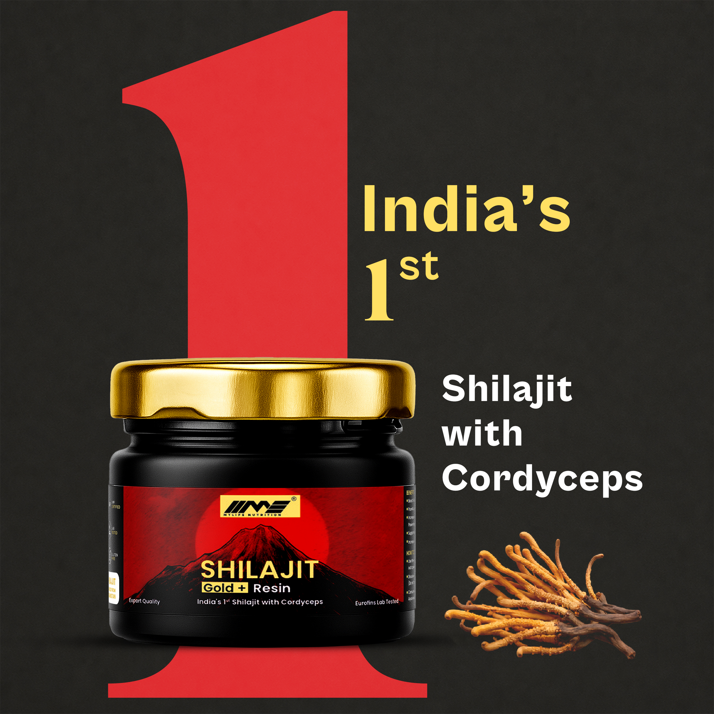 Shilajit Gold+